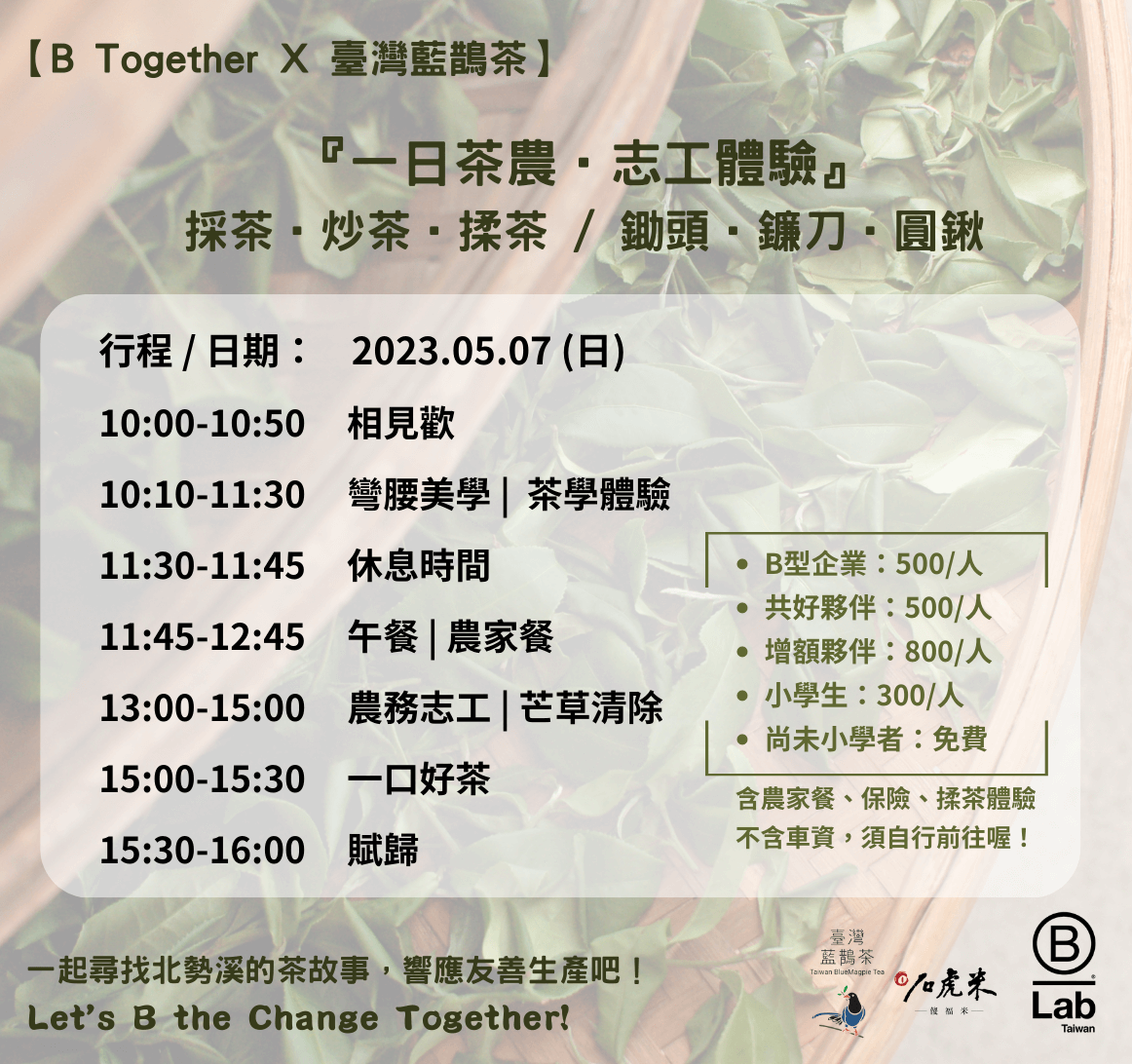 B Together×臺灣藍鵲茶【一日茶農，志工體驗】