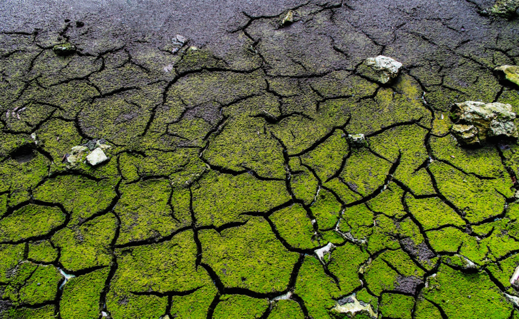新標準 配圖 1300×800 (2)